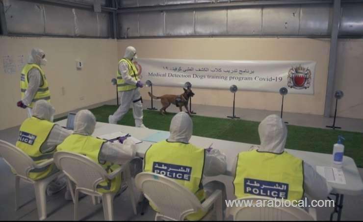 police-dogs-to-detect-covid-19-cases-at-ports_bahrain