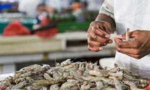 bahrain-enforces-6-month-ban-on-shrimping_bahrain