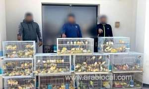 three-men-arrested-over-bd12,000-pet-store-theft_bahrain