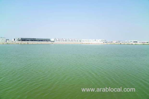 tourist-attraction--plan-to-turn-al-luzi-lake-into-eco-friendly-leisure-spot_bahrain