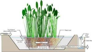 artificial-wetlands-‘can-relieve-water-stress’_bahrain