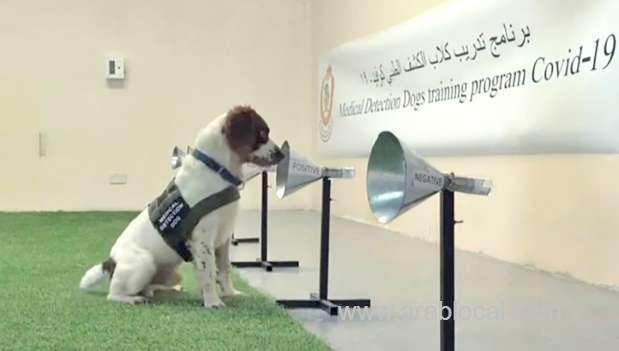 new-study-to-upgrade-training-for-sniffer-dogs_bahrain