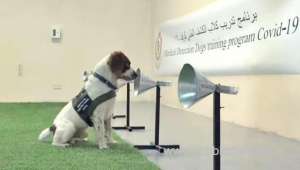 new-study-to-upgrade-training-for-sniffer-dogs_bahrain