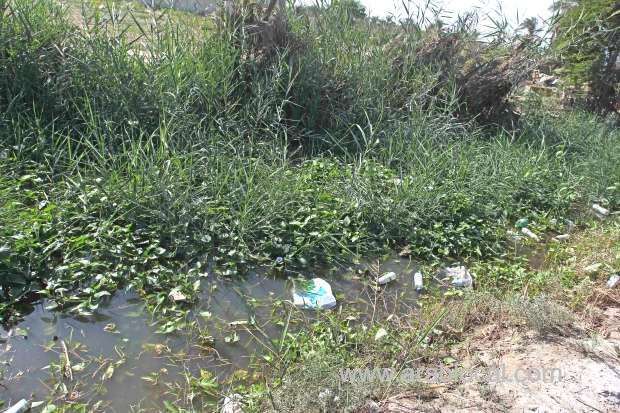 task-force-to-inspect-local-produce-urged_bahrain
