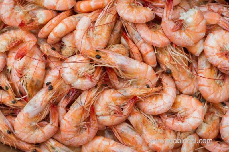 shrimping-banned-for-6-months-in-bahrain_bahrain
