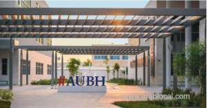 -bic,-aubh-to-establish-joint-development-programmes_bahrain
