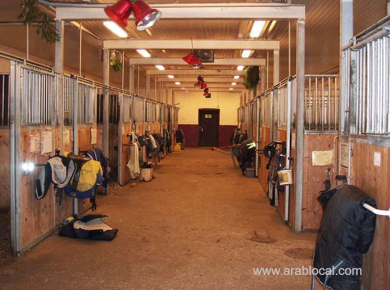 boy-kidnapped-and-tortured-in-horse-stable_bahrain