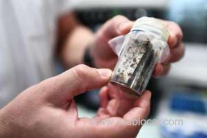 algeria-initiates-efforts-to-combat-bedbugs-as-concerns-rise-in-france_bahrain