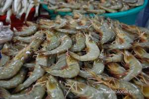 coast-guard-arrests-three-fishermen_bahrain